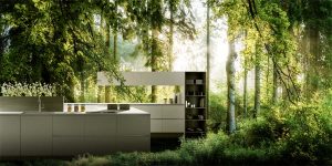 Cuisine ambiance forêt